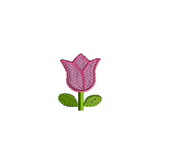 Mini Tulip
