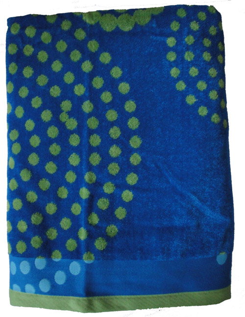 Blue and Lime Towel