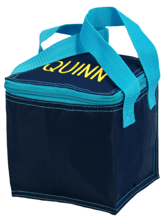 Navy/Aqua Bright Snack Square